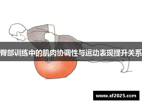 臀部训练中的肌肉协调性与运动表现提升关系